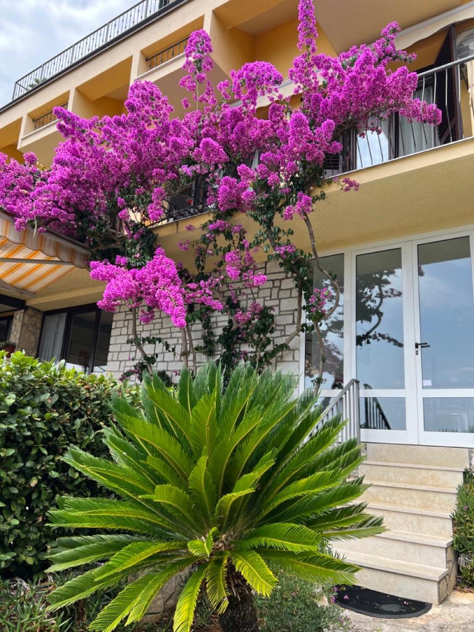 Rooms Figarola Rovinj Exterior foto